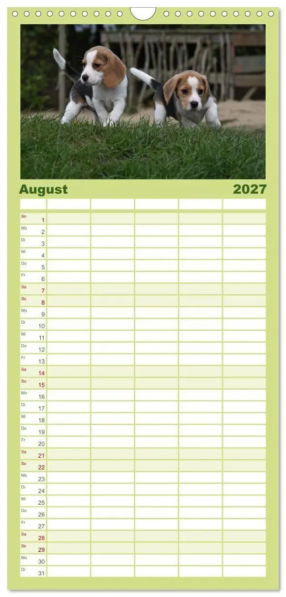 Bild: 9783594345146 | Familienplaner 2027 - Beagle mit 5 Spalten (Wandkalender, 21 x 45...