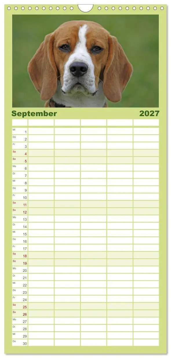 Bild: 9783594345146 | Familienplaner 2027 - Beagle mit 5 Spalten (Wandkalender, 21 x 45...