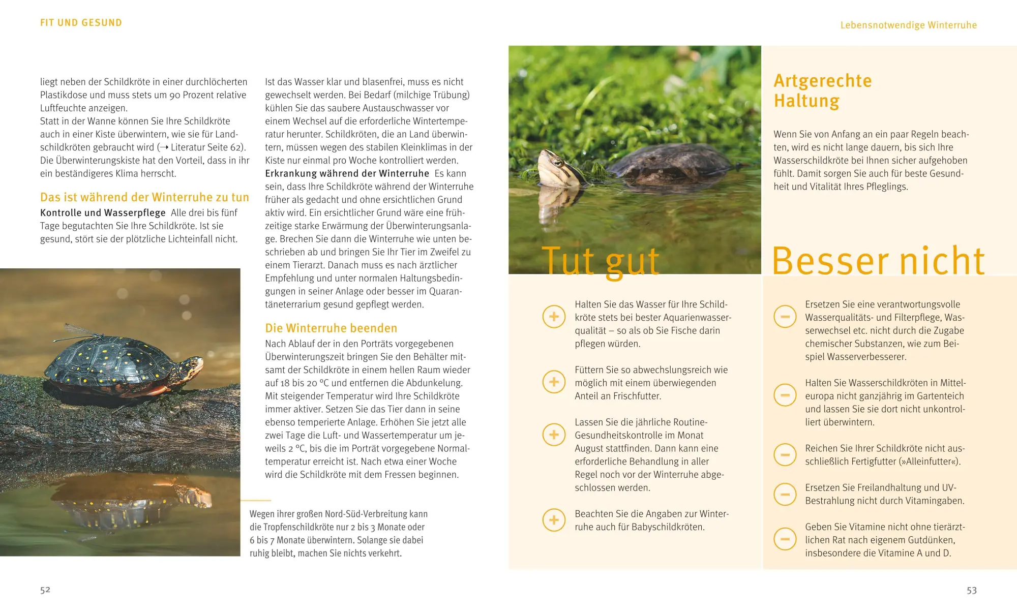 Bild: 9783833855146 | Wasserschildkröten | Wohlfühl-Basics für urtümliche Riesen | Wilke