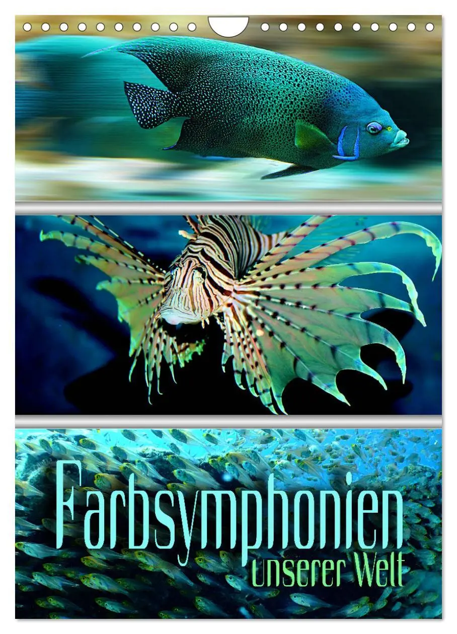 Cover: 9783516355246 | Farbsymphonien unserer Welt (Wandkalender 2026 DIN A4 hoch),...