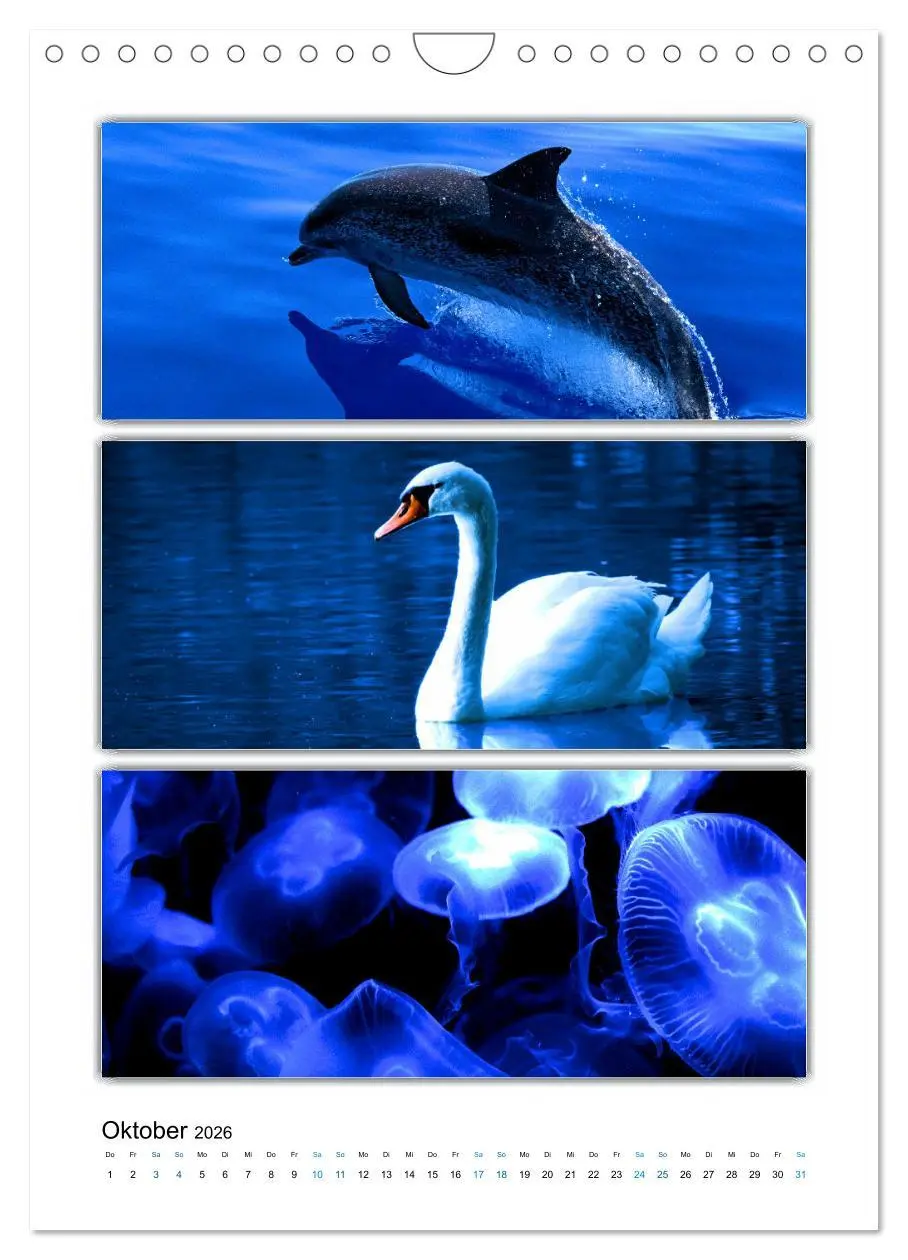 Bild: 9783516355246 | Farbsymphonien unserer Welt (Wandkalender 2026 DIN A4 hoch),...