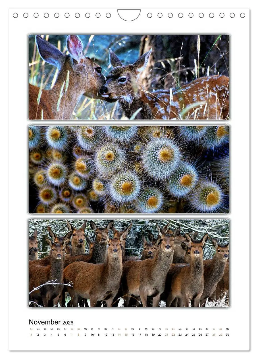 Bild: 9783516355246 | Farbsymphonien unserer Welt (Wandkalender 2026 DIN A4 hoch),...