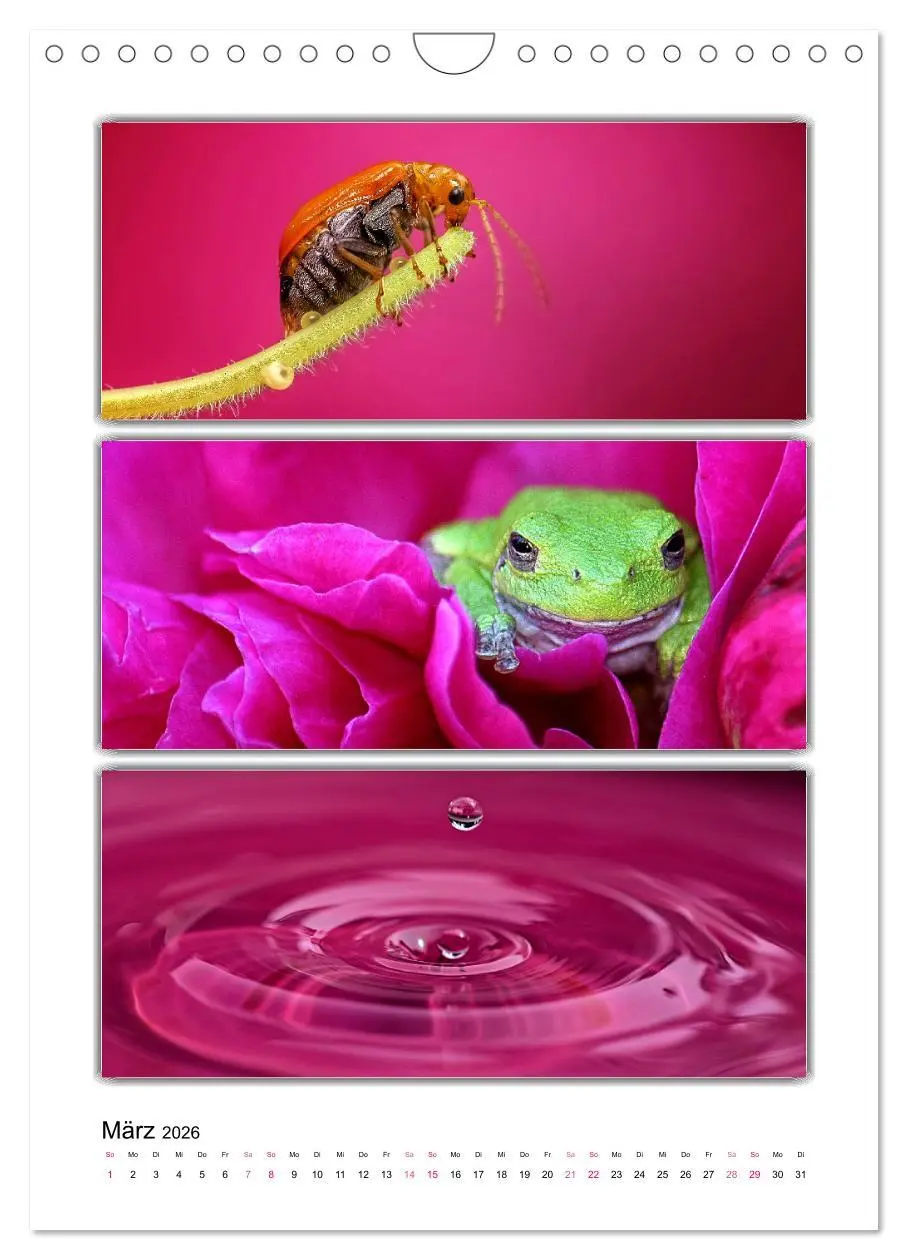 Bild: 9783516355246 | Farbsymphonien unserer Welt (Wandkalender 2026 DIN A4 hoch),...