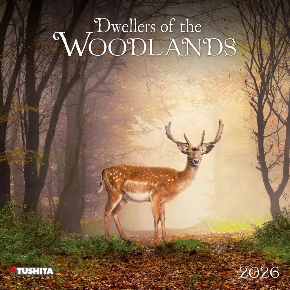 Cover: 9783959295246 | Dwellers of the Woodlands 2026 | Kalender 2026 | Kalender | Englisch