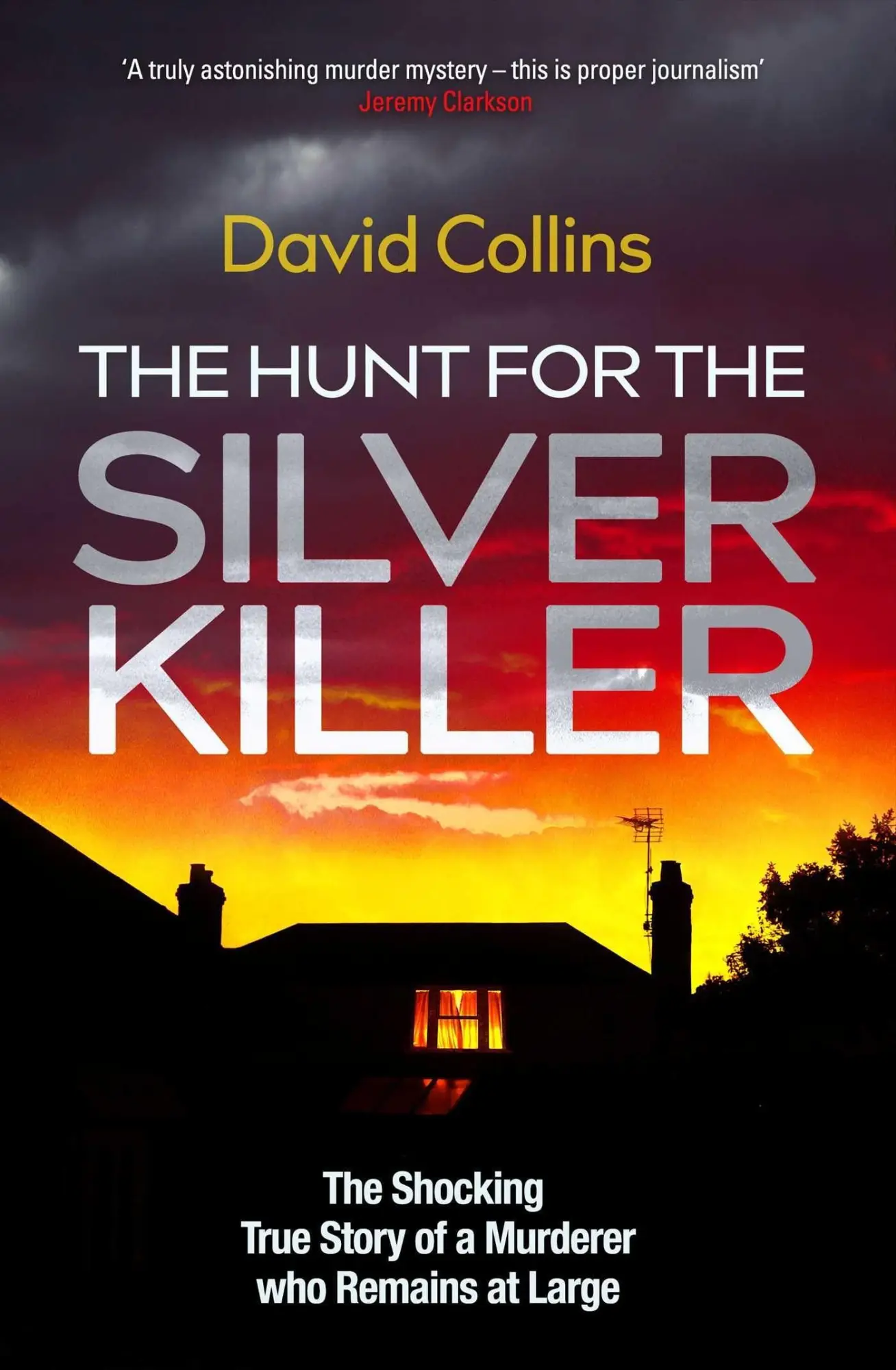 Cover: 9781398505346 | The Hunt for the Silver Killer | David Collins | Buch | Gebunden