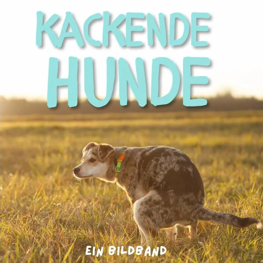 Cover: 9783750505346 | Kackende Hunde | Ein Bildband | Tim Fröhlich | Taschenbuch | 42 S.