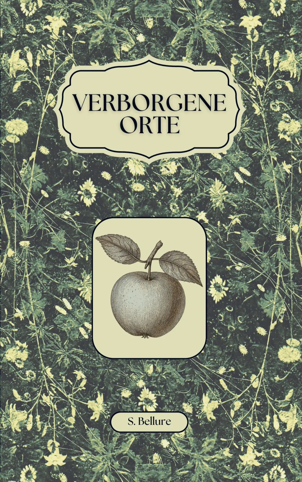 Cover: 9783819215346 | Verborgene Orte | S. Bellure | Taschenbuch | 194 S. | Deutsch | 2025