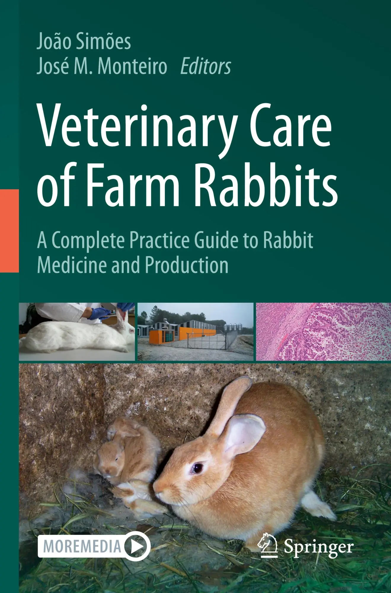 Cover: 9783031445446 | Veterinary Care of Farm Rabbits | João Simões (u. a.) | Taschenbuch