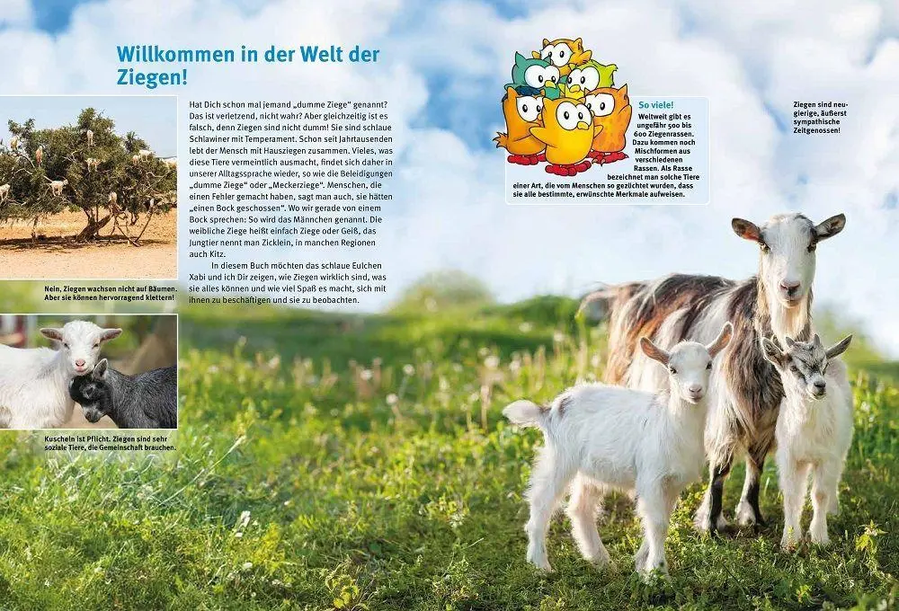 Bild: 9783866595446 | Entdecke die Ziegen | Maria Anna Leenen | Buch | 64 S. | Deutsch