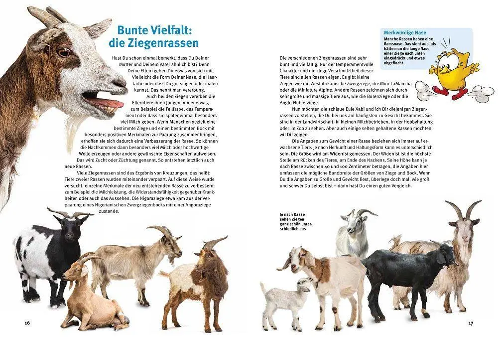 Bild: 9783866595446 | Entdecke die Ziegen | Maria Anna Leenen | Buch | 64 S. | Deutsch