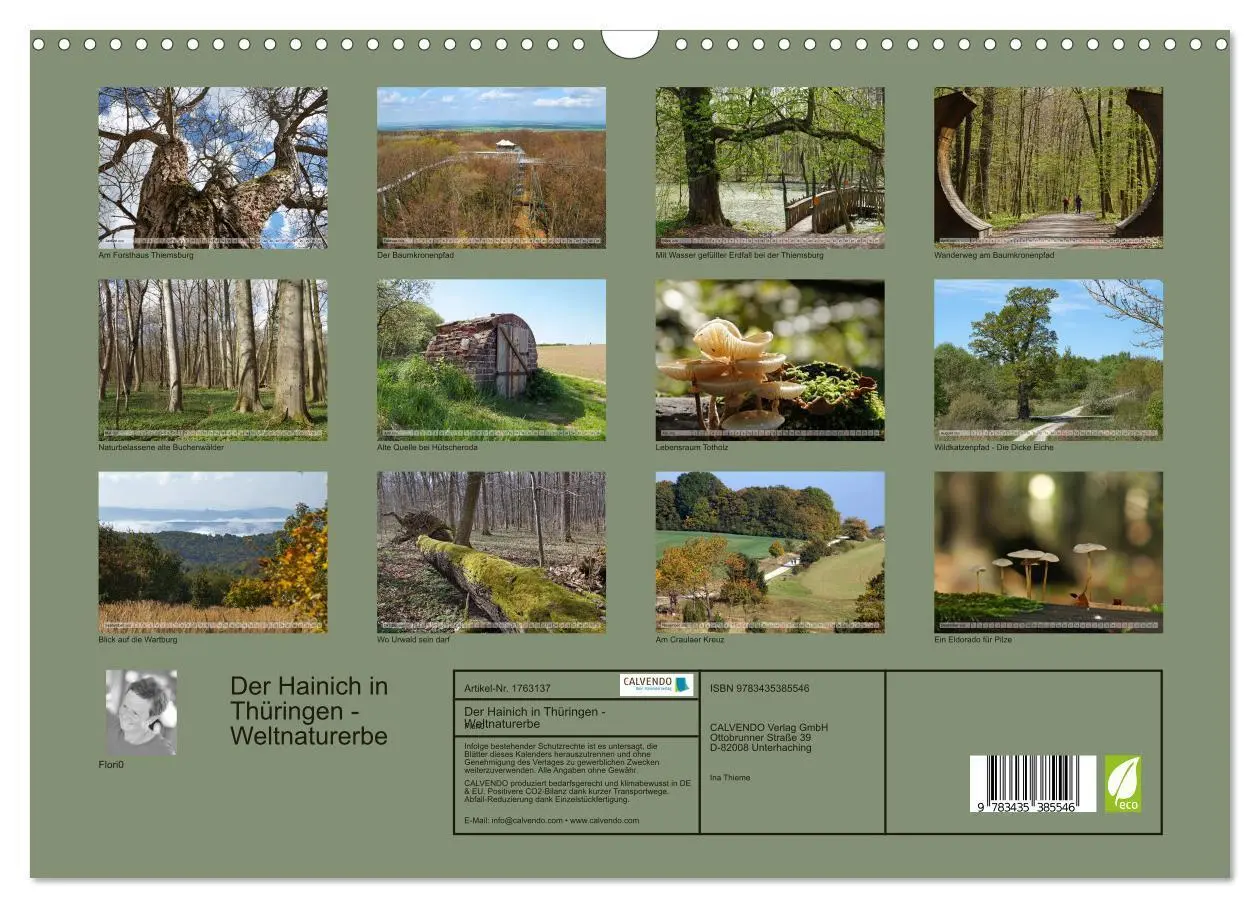 Bild: 9783435385546 | Der Hainich in Thüringen - Weltnaturerbe (Wandkalender 2025 DIN A3...
