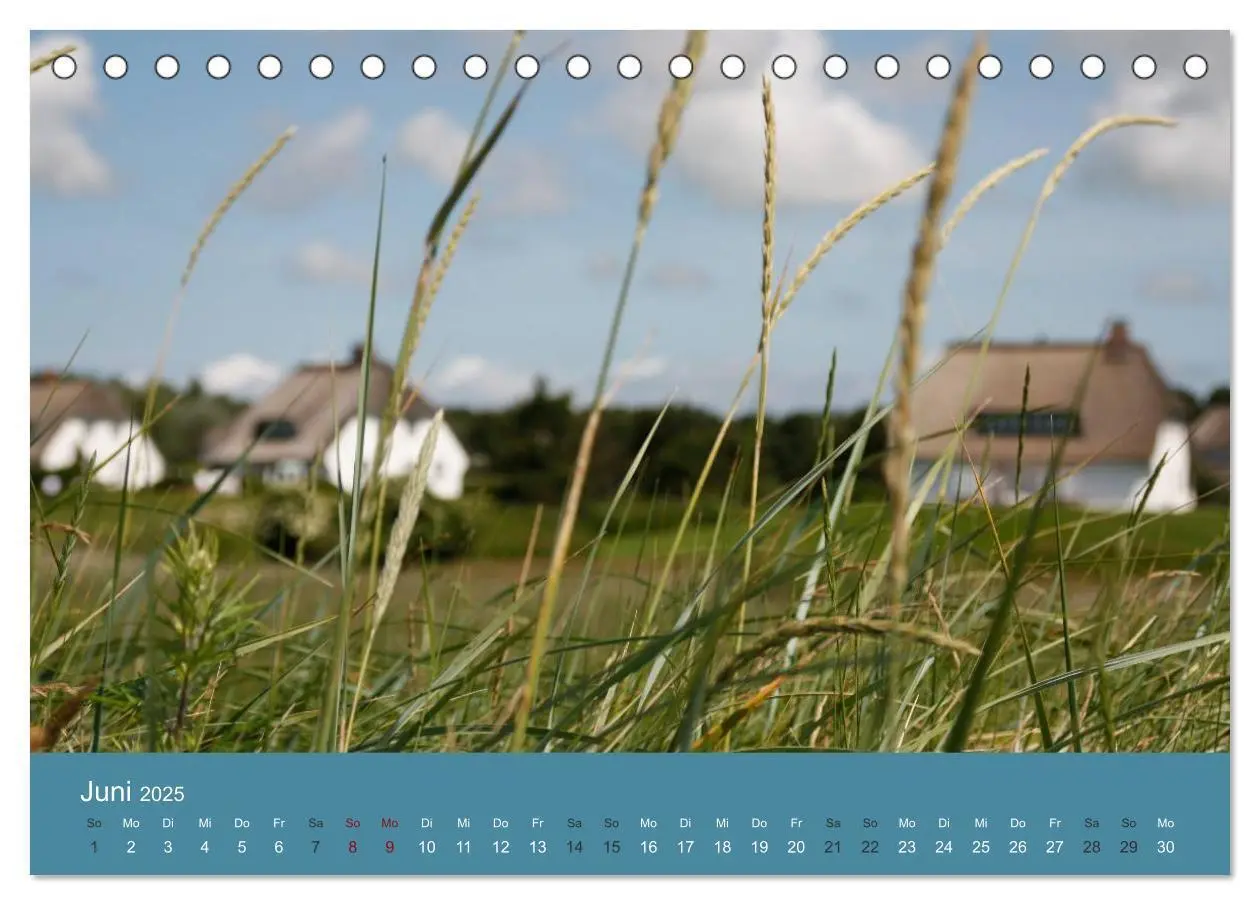 Bild: 9783435755646 | Föhr 2025. Porträt einer Insel (Tischkalender 2025 DIN A5 quer),...