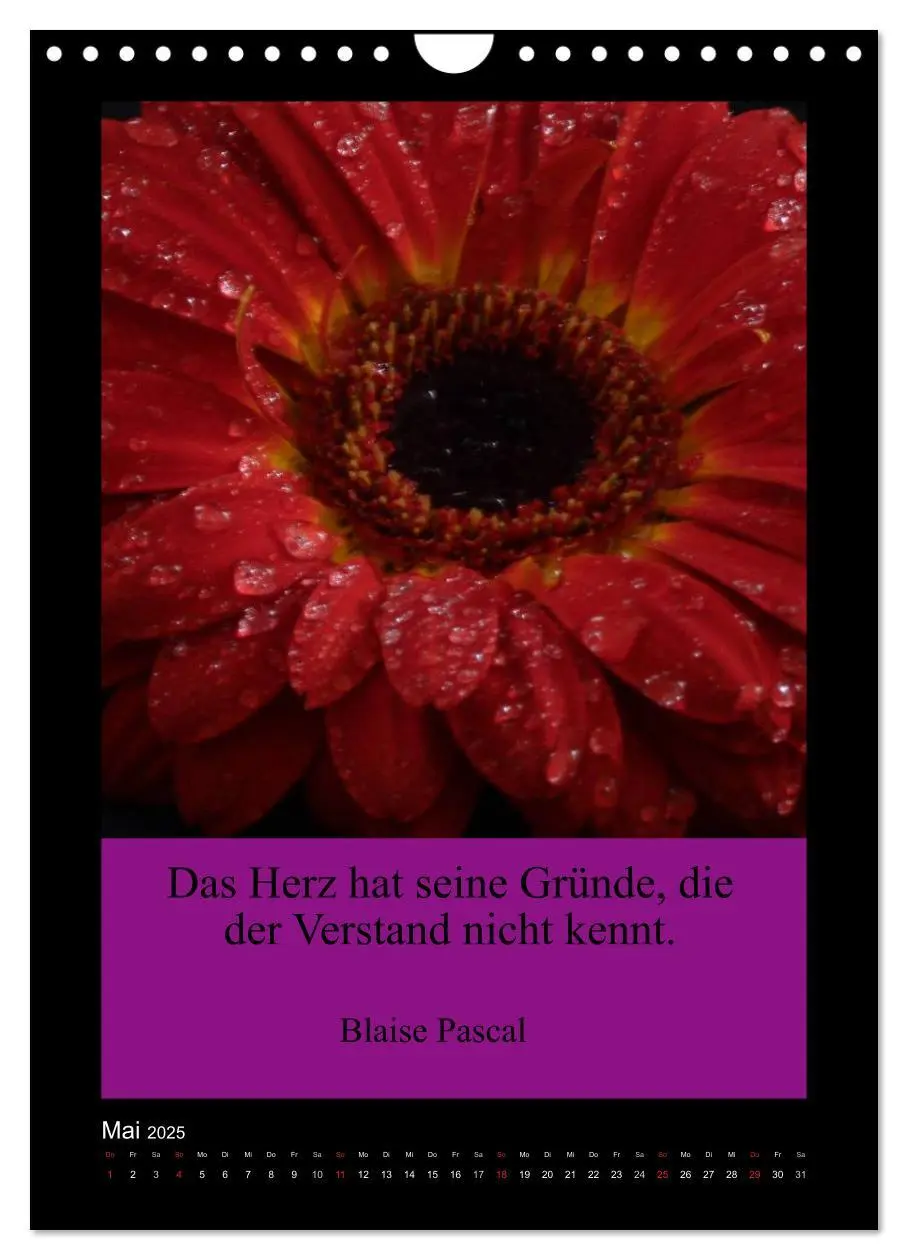 Bild: 9783457085646 | Lebensweisheiten mit Blumigen Grüßen (Wandkalender 2025 DIN A4...
