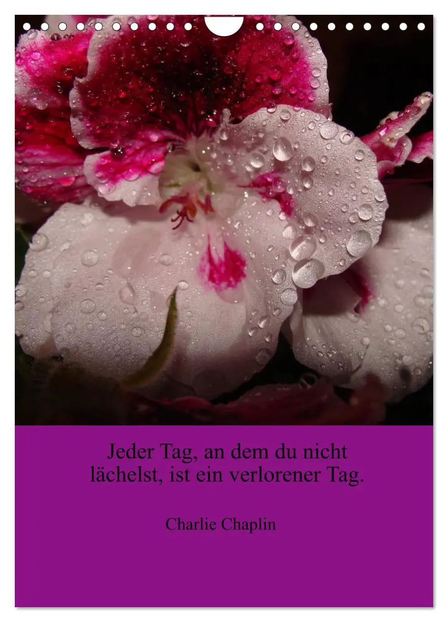 Bild: 9783457085646 | Lebensweisheiten mit Blumigen Grüßen (Wandkalender 2025 DIN A4...