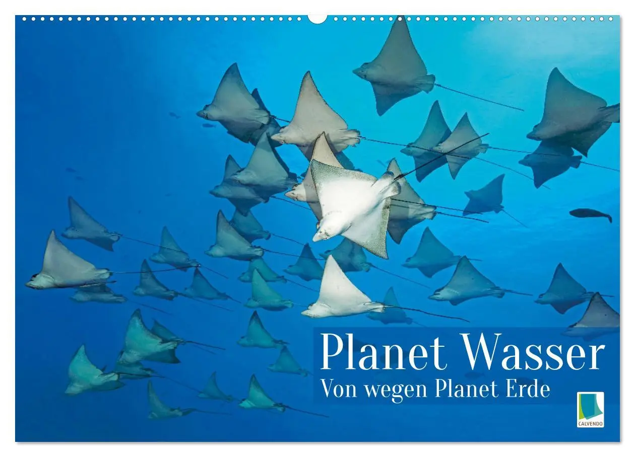 Cover: 9783457465646 | Planet Wasser: Von wegen Planet Erde (Wandkalender 2026 DIN A2...