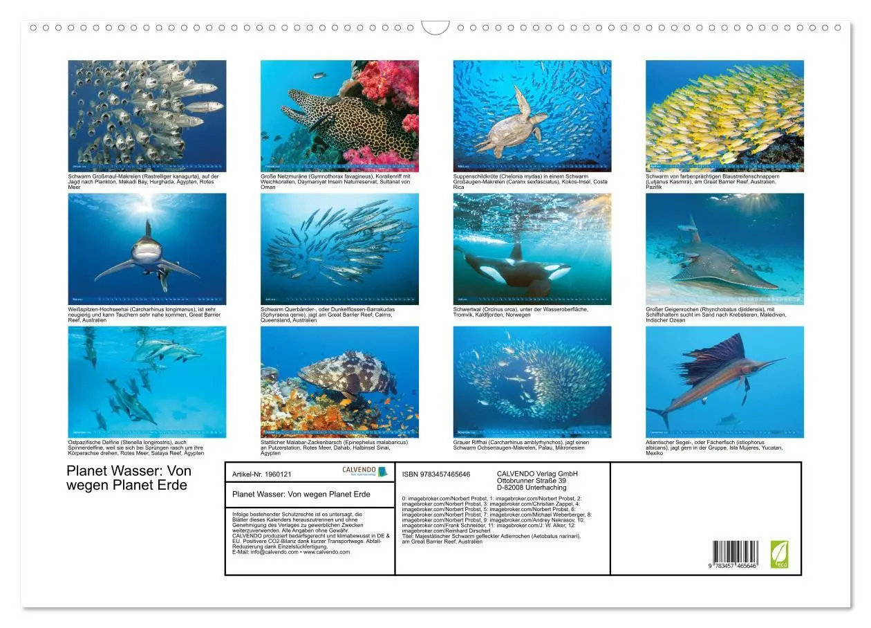Bild: 9783457465646 | Planet Wasser: Von wegen Planet Erde (Wandkalender 2026 DIN A2...
