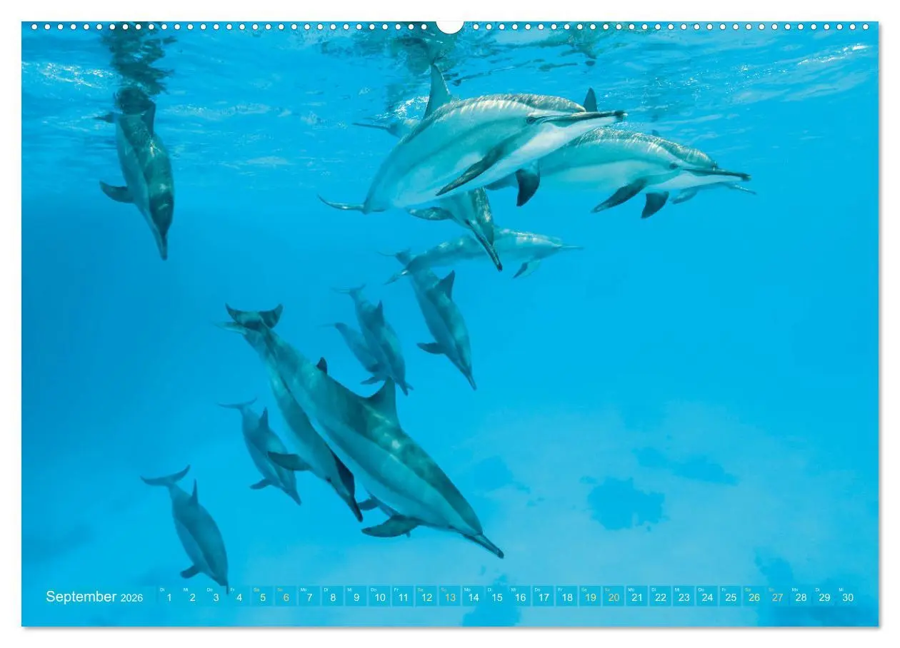 Bild: 9783457465646 | Planet Wasser: Von wegen Planet Erde (Wandkalender 2026 DIN A2...
