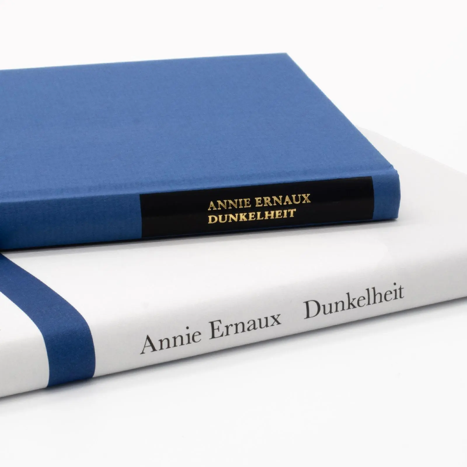 Bild: 9783518225646 | Ich komme nicht aus der Dunkelheit raus | Annie Ernaux | Buch | 100 S.