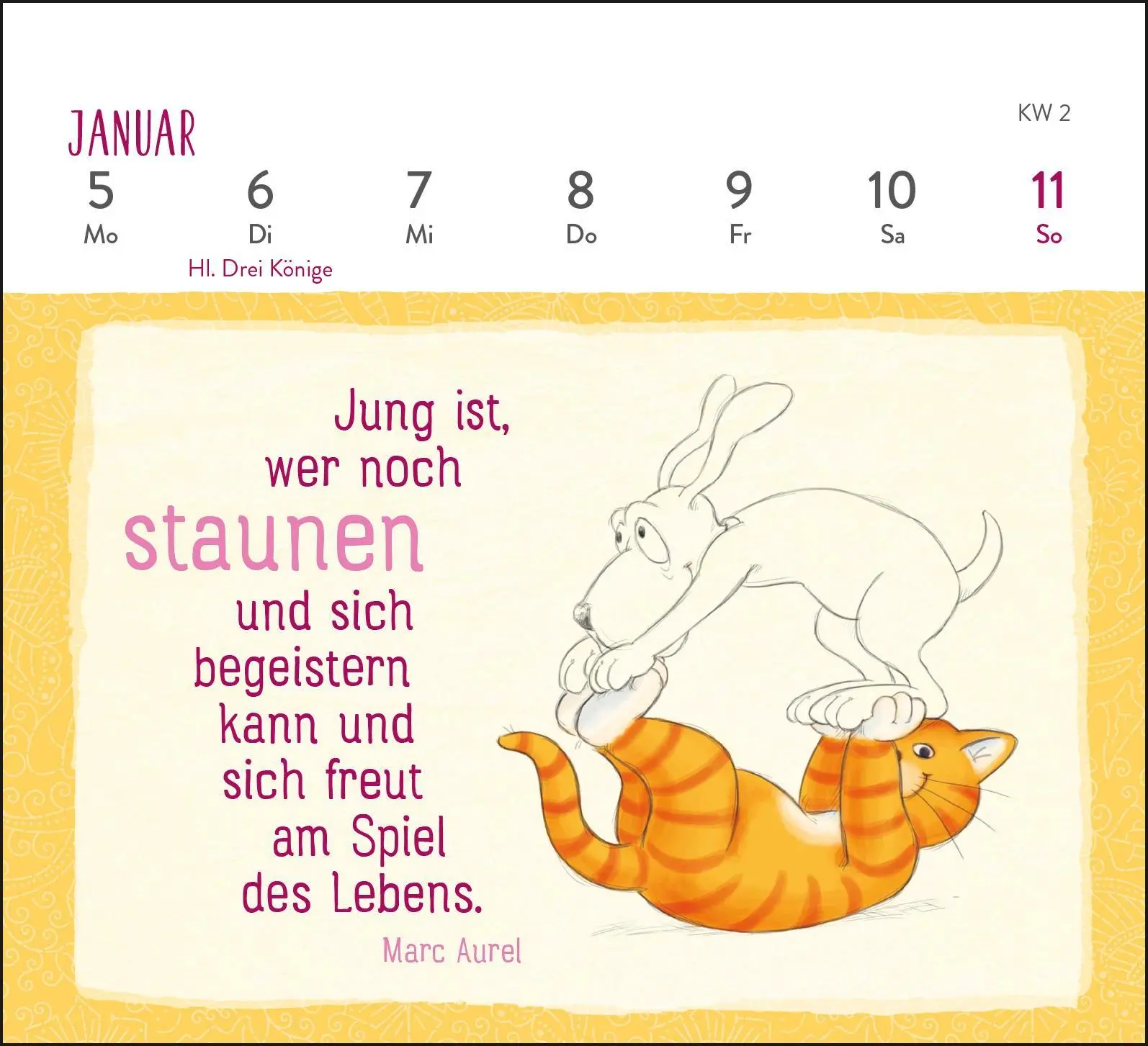 Bild: 4260308345746 | Mini-Wochenkalender 2026: Weisheiten der Om-Katze | Pattloch Verlag