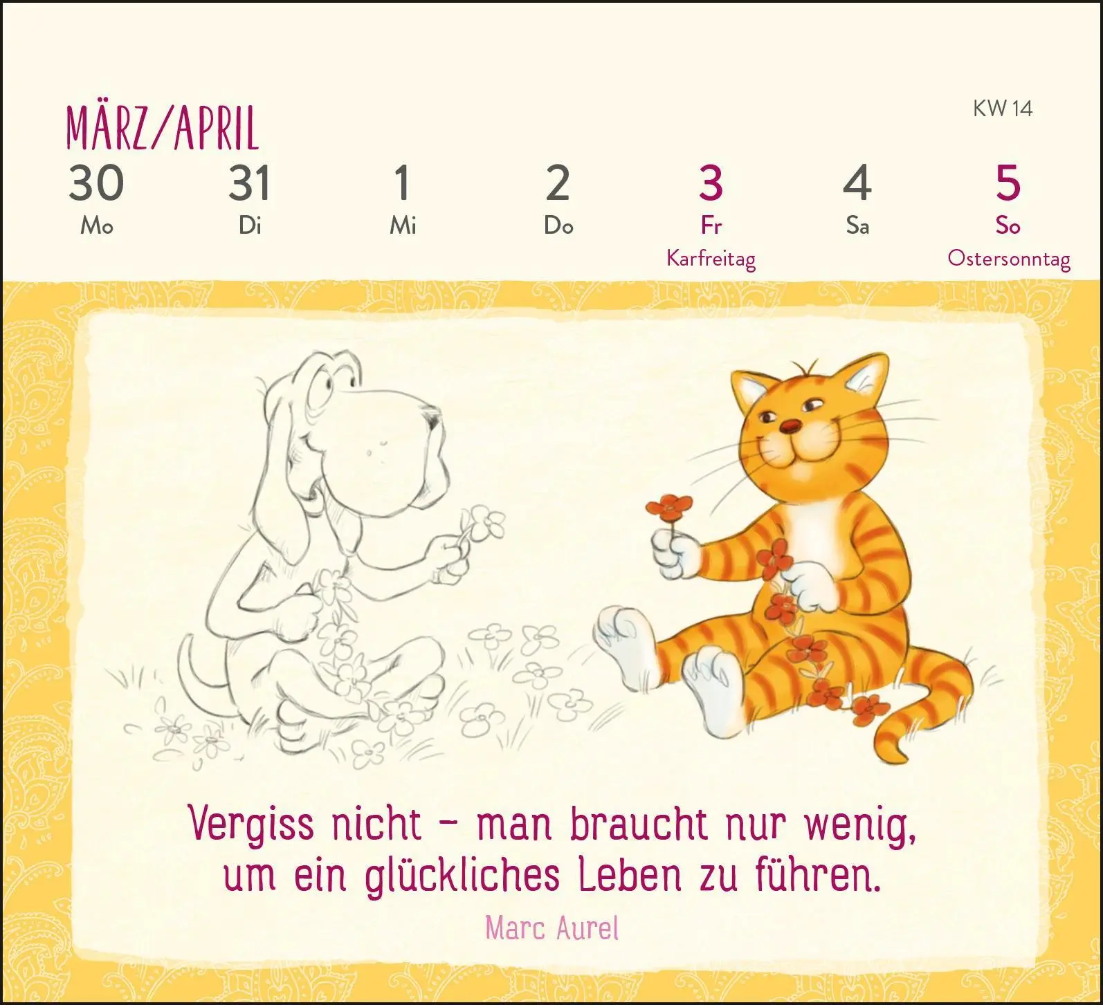 Bild: 4260308345746 | Mini-Wochenkalender 2026: Weisheiten der Om-Katze | Pattloch Verlag