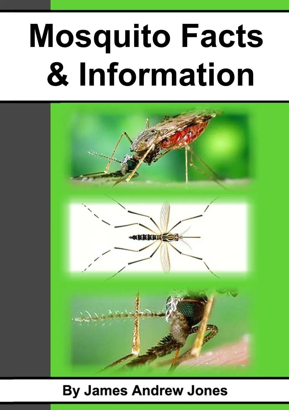 Cover: 9781471725746 | Mosquito Facts &amp; Information | James Andrew Jones | Taschenbuch | 2012