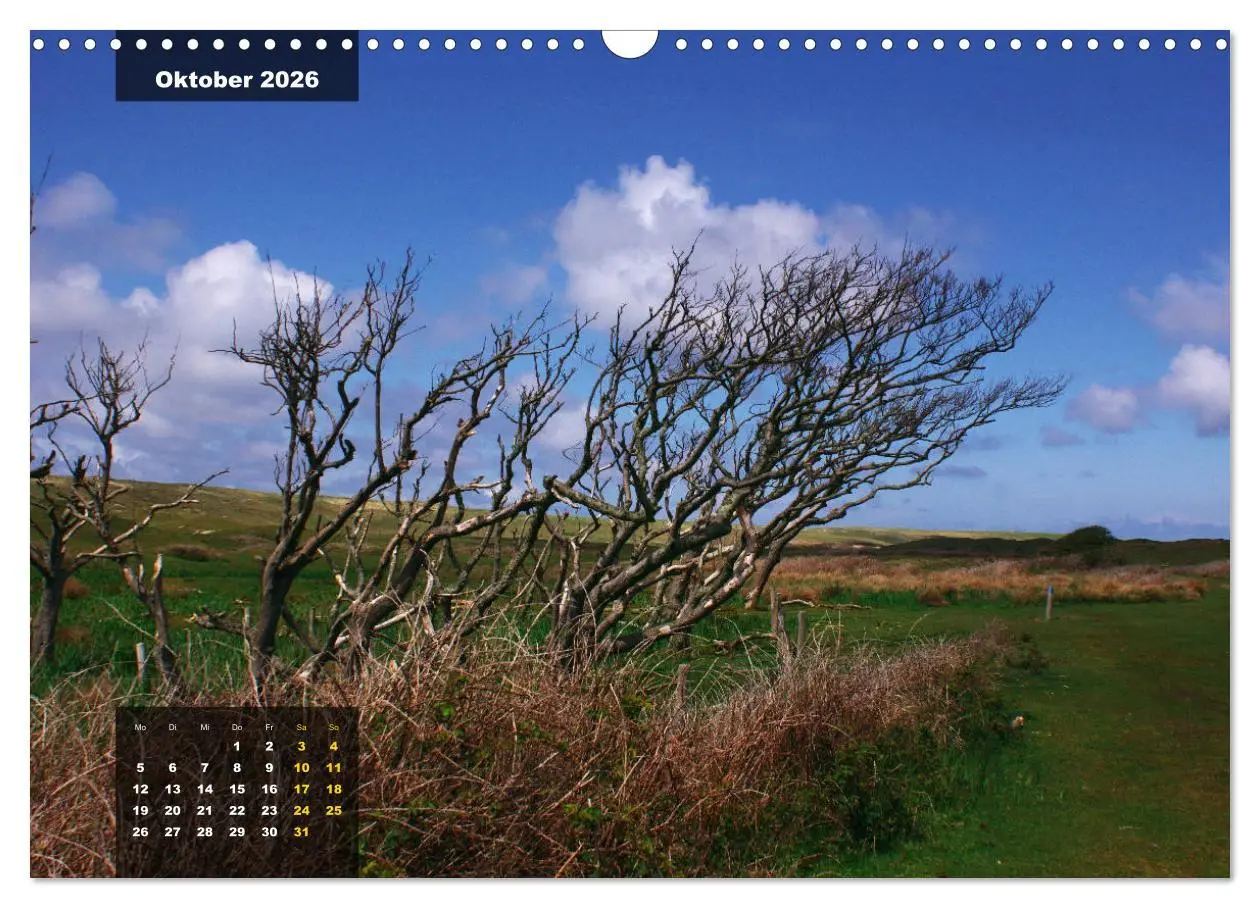 Bild: 9783457835746 | Texel Insel mit Charakter (Wandkalender 2026 DIN A3 quer), CALVENDO...
