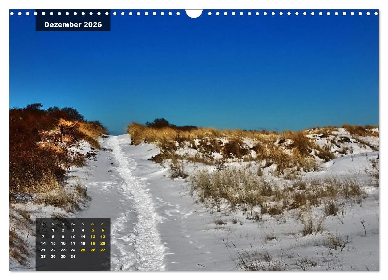 Bild: 9783457835746 | Texel Insel mit Charakter (Wandkalender 2026 DIN A3 quer), CALVENDO...