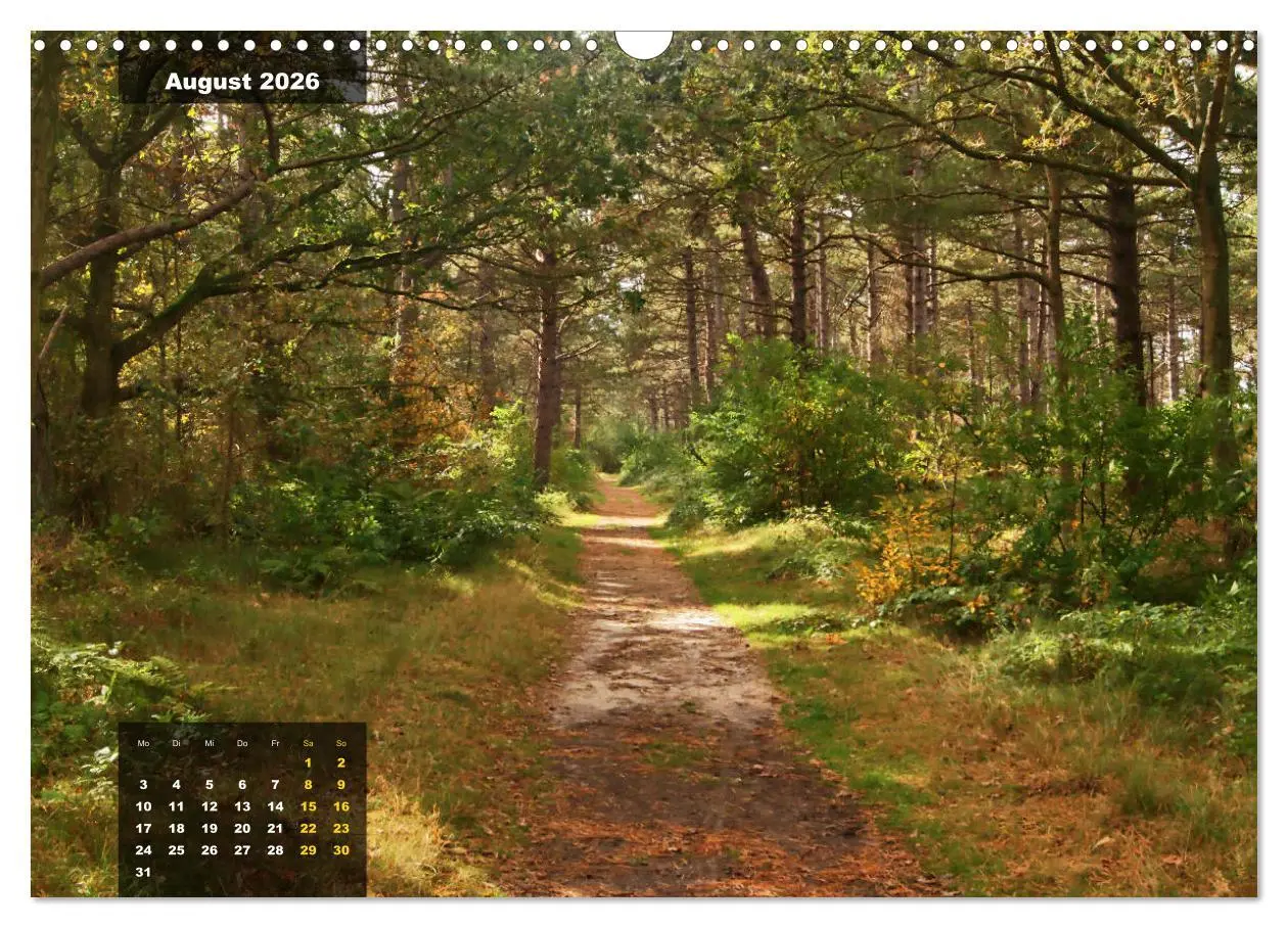 Bild: 9783457835746 | Texel Insel mit Charakter (Wandkalender 2026 DIN A3 quer), CALVENDO...