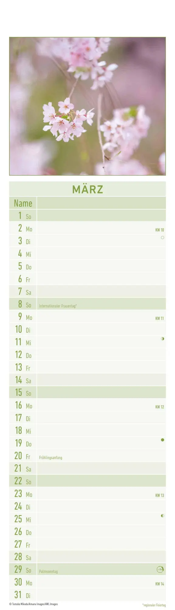 Bild: 4069095005846 | Streifenplaner Mini Zen 2026 - Streifen-Kalender 9,5x33 cm -...
