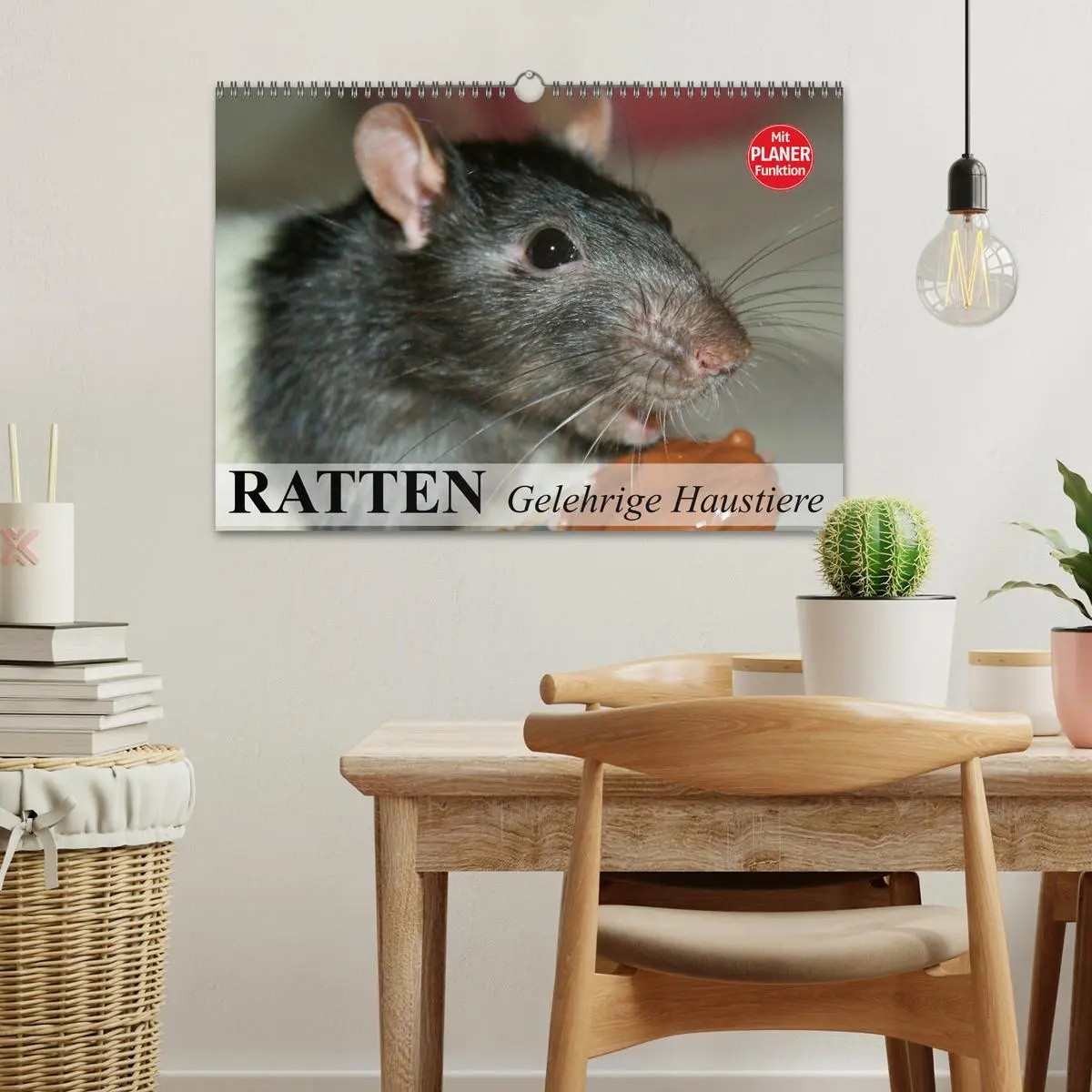 Bild: 9783457995846 | Ratten. Gelehrige Haustiere (Wandkalender 2026 DIN A3 quer),...