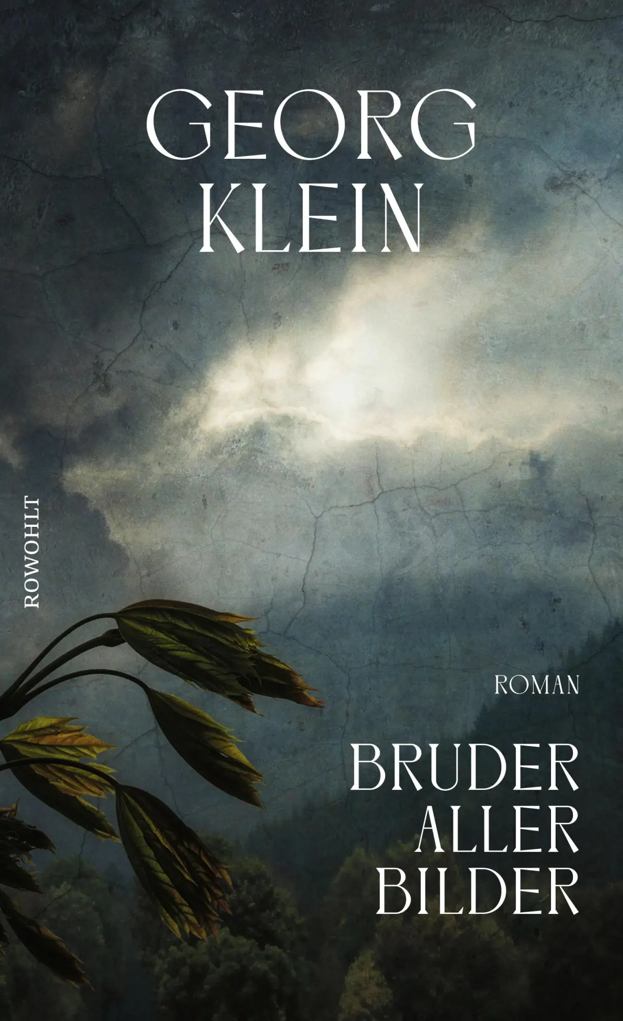 Cover: 9783498035846 | Bruder aller Bilder | Georg Klein | Buch | 272 S. | Deutsch | 2021