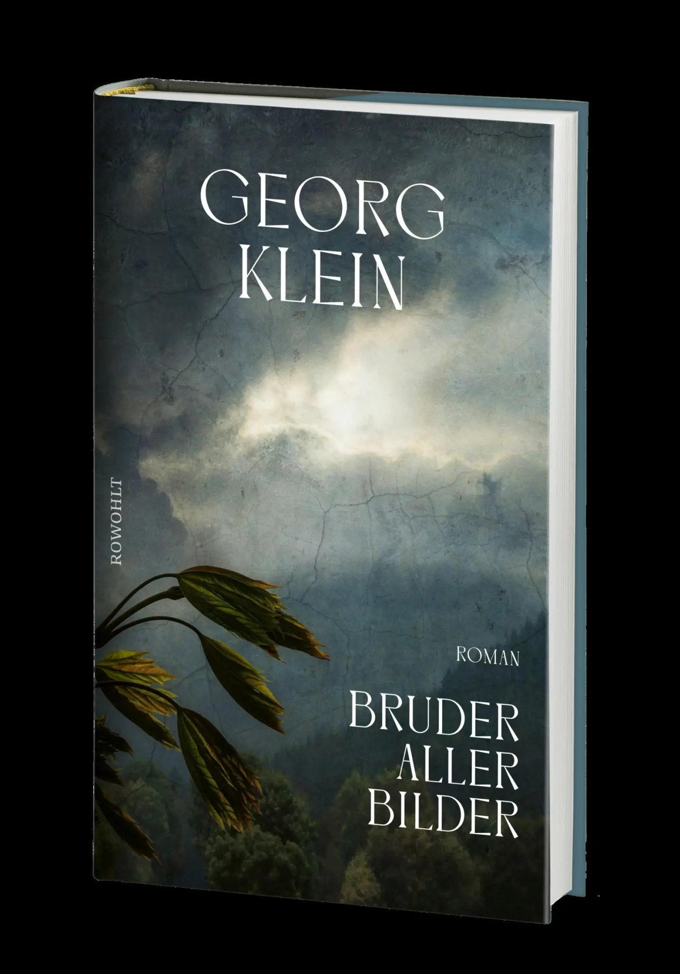 Bild: 9783498035846 | Bruder aller Bilder | Georg Klein | Buch | 272 S. | Deutsch | 2021