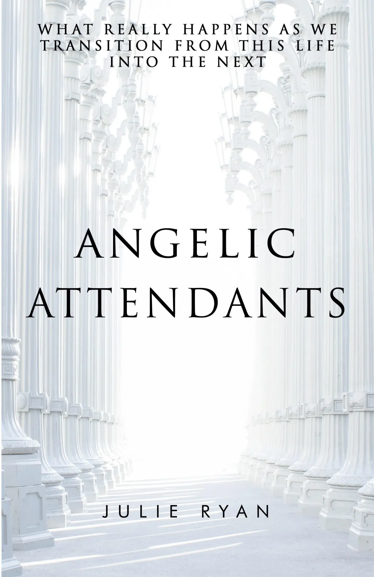 Cover: 9780999125946 | Angelic Attendants | Julie Ryan | Taschenbuch | Englisch | 2017 Cover: 9780999125946 | Angelic Attendants | Julie Ryan | Taschenbuch | Englisch | 2017