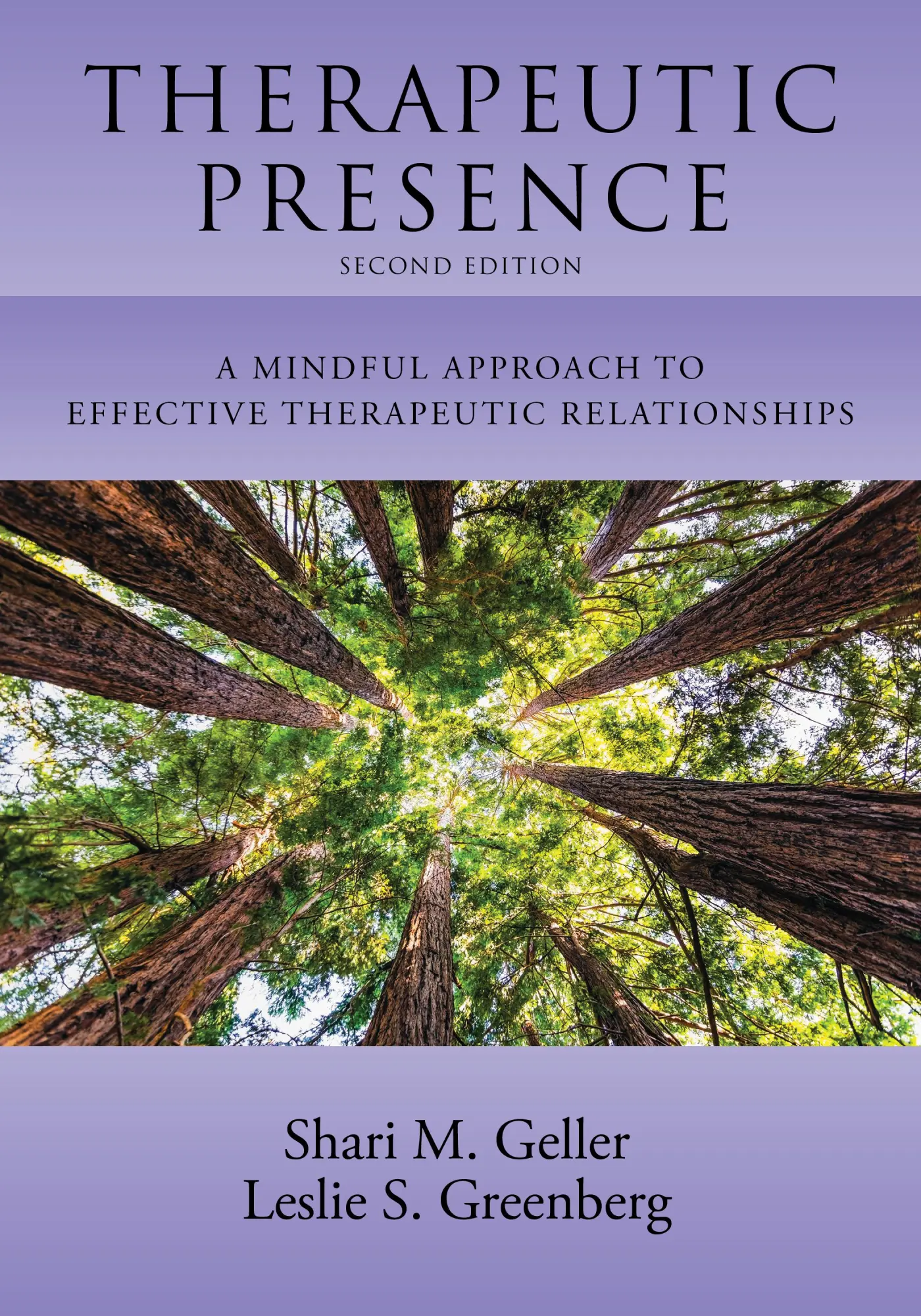 Cover: 9781433836046 | Therapeutic Presence | Shari Geller (u. a.) | Taschenbuch | Englisch