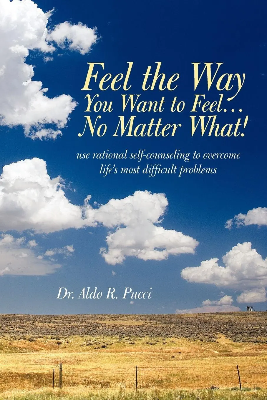 Cover: 9781936236046 | Feel the Way You Want to Feel ... No Matter What! | Pucci | Buch