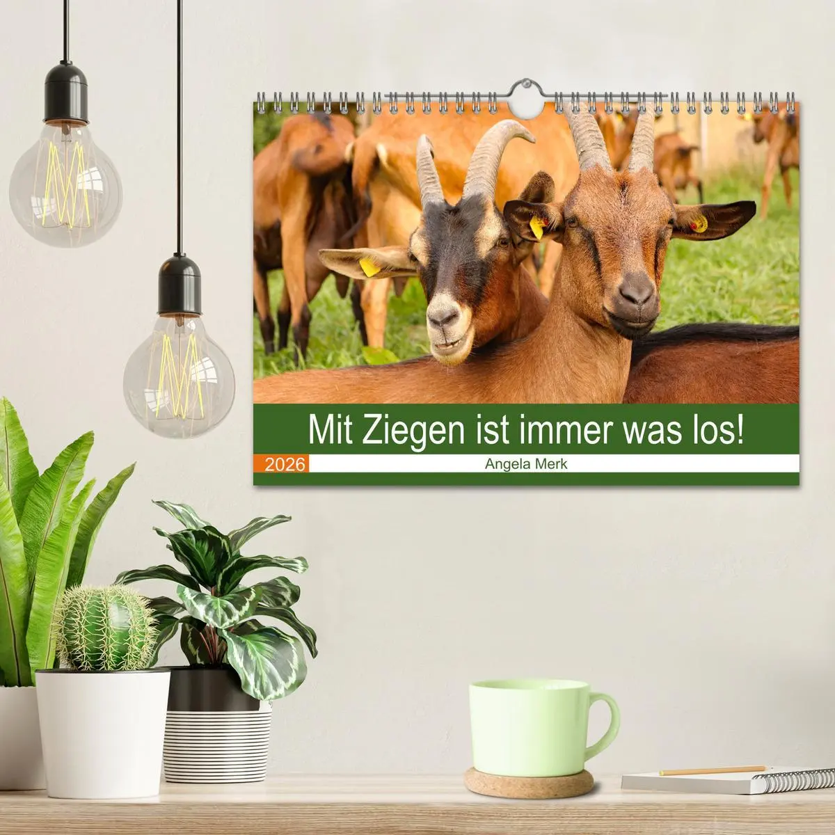 Bild: 9783457636046 | Mit Ziegen ist immer was los! (Wandkalender 2026 DIN A4 quer),...