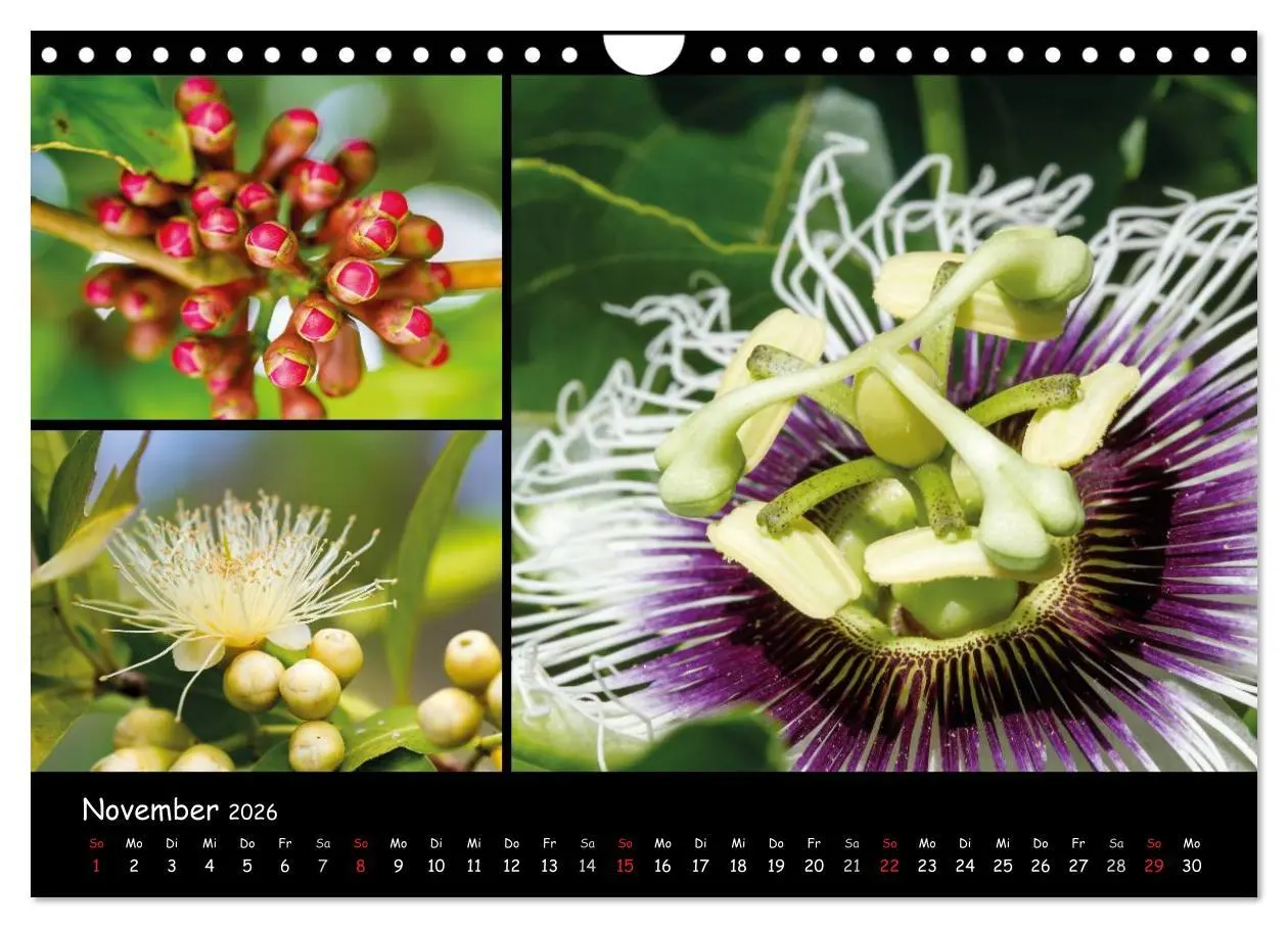 Bild: 9783516026146 | Dominikanische Republik Land &amp; Leute (Wandkalender 2026 DIN A4...
