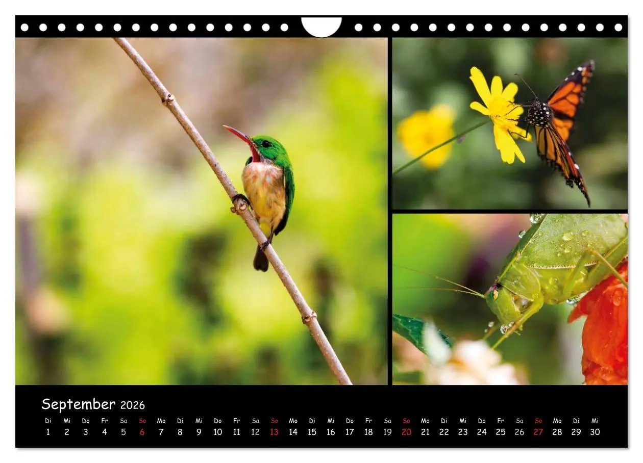 Bild: 9783516026146 | Dominikanische Republik Land &amp; Leute (Wandkalender 2026 DIN A4...