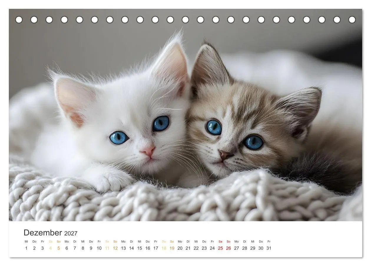 Bild: 9783569046146 | Zauberhafte Katzenbabys (Tischkalender 2027 DIN A5 quer), CALVENDO...
