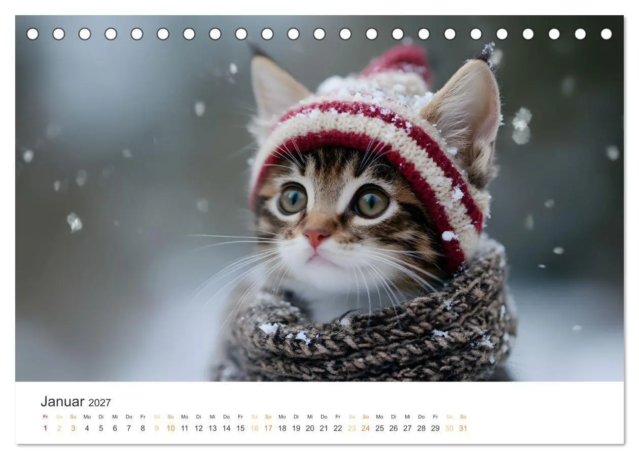 Bild: 9783569046146 | Zauberhafte Katzenbabys (Tischkalender 2027 DIN A5 quer), CALVENDO...
