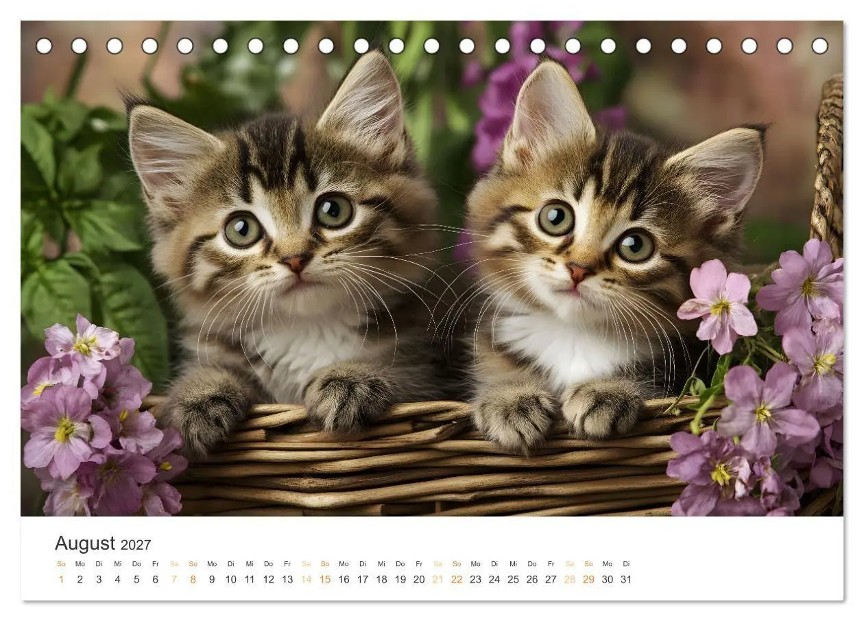 Bild: 9783569046146 | Zauberhafte Katzenbabys (Tischkalender 2027 DIN A5 quer), CALVENDO...