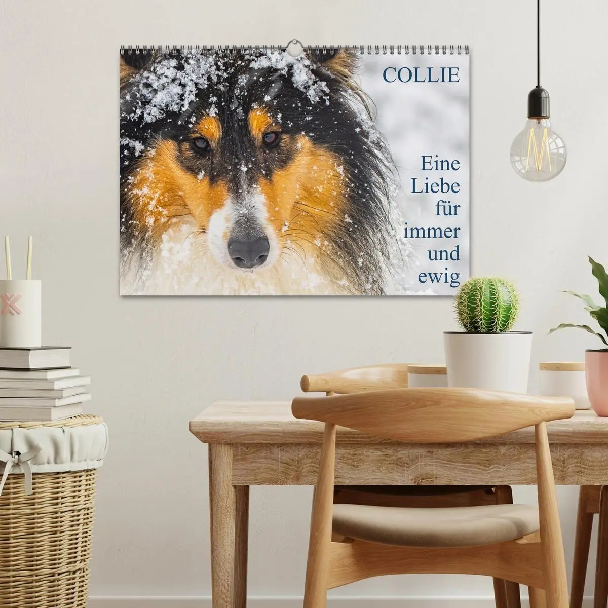 Bild: 9783569346246 | Collies - Eine Liebe für immer und ewig (Wandkalender 2027 DIN A3...