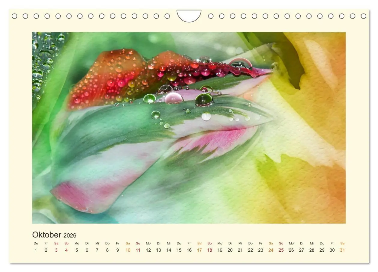 Bild: 9783457696446 | Fotografie trifft Malerei (Wandkalender 2026 DIN A4 quer), CALVENDO...