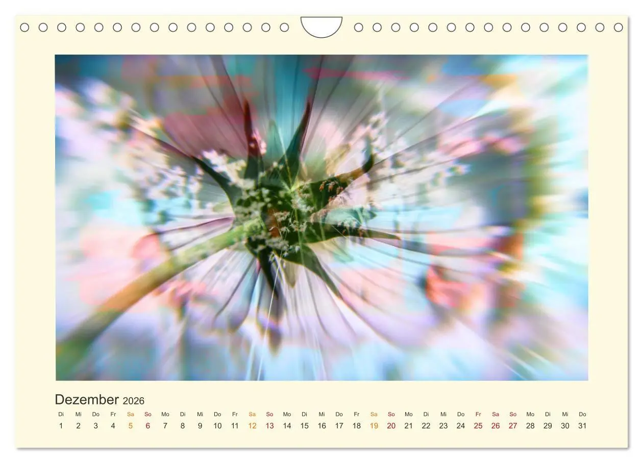 Bild: 9783457696446 | Fotografie trifft Malerei (Wandkalender 2026 DIN A4 quer), CALVENDO...