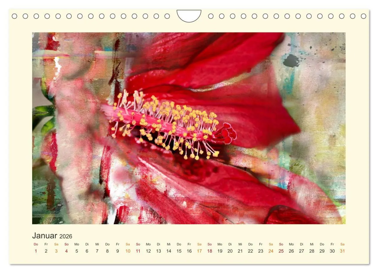 Bild: 9783457696446 | Fotografie trifft Malerei (Wandkalender 2026 DIN A4 quer), CALVENDO...