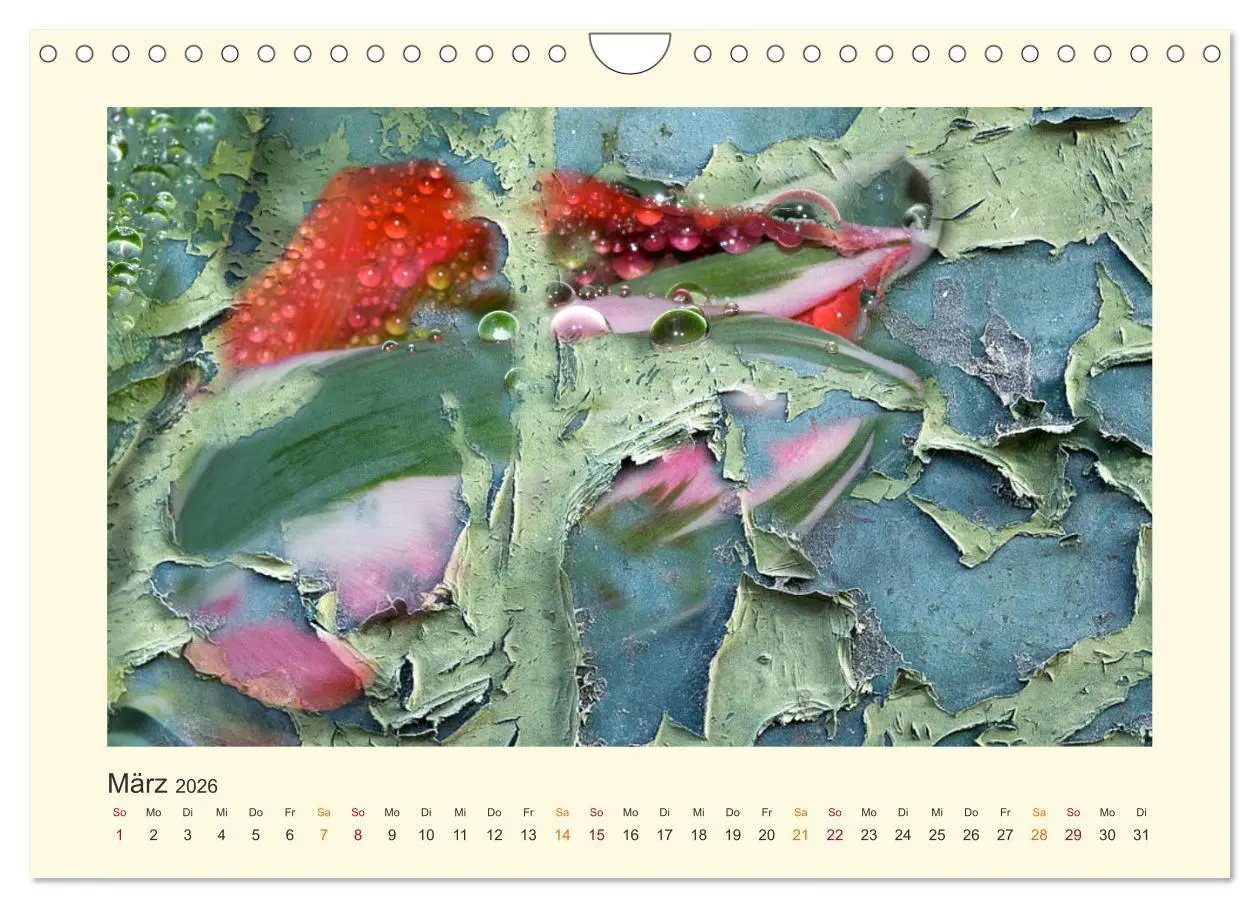 Bild: 9783457696446 | Fotografie trifft Malerei (Wandkalender 2026 DIN A4 quer), CALVENDO...