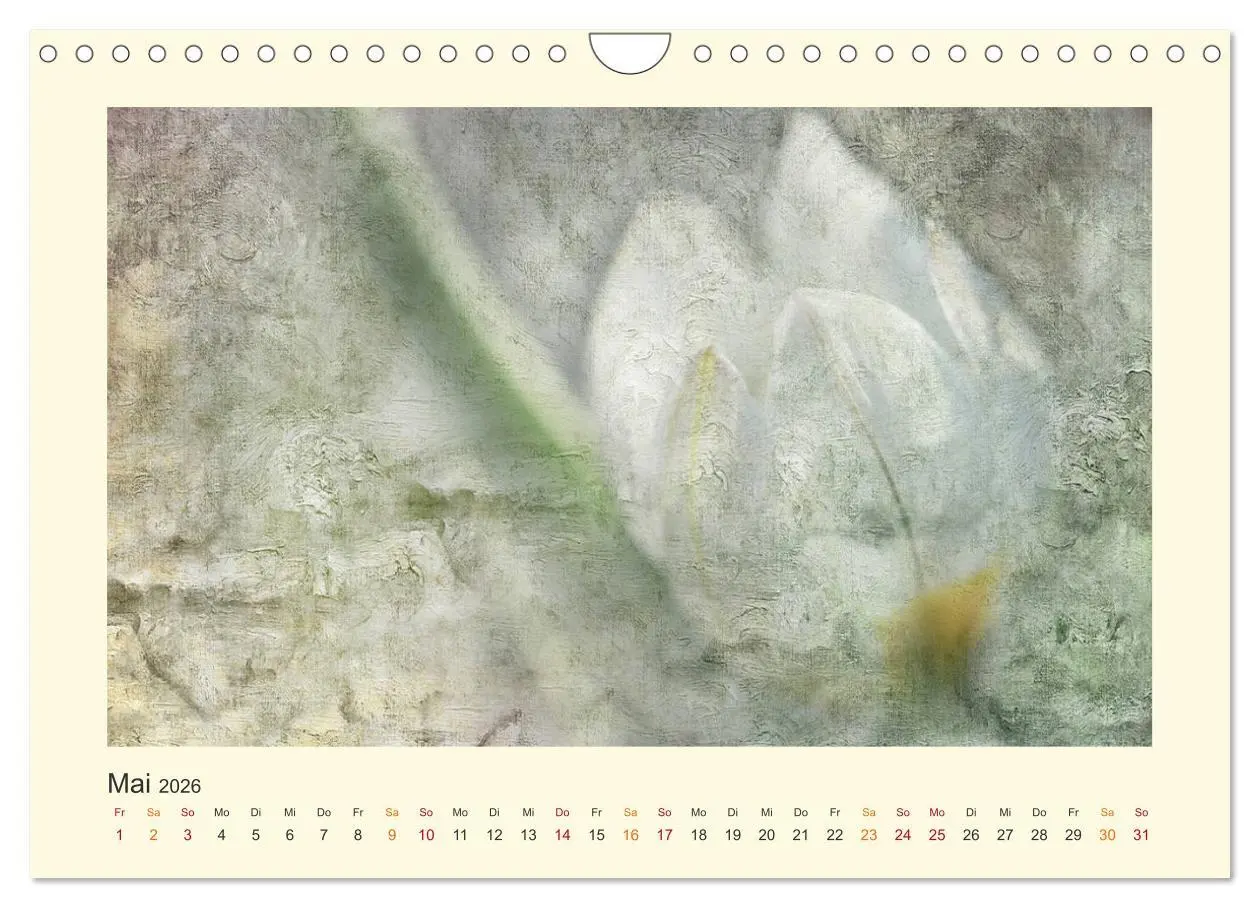 Bild: 9783457696446 | Fotografie trifft Malerei (Wandkalender 2026 DIN A4 quer), CALVENDO...