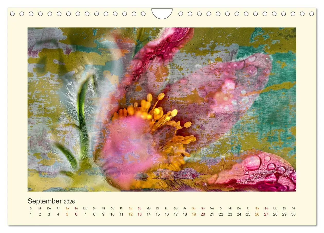 Bild: 9783457696446 | Fotografie trifft Malerei (Wandkalender 2026 DIN A4 quer), CALVENDO...