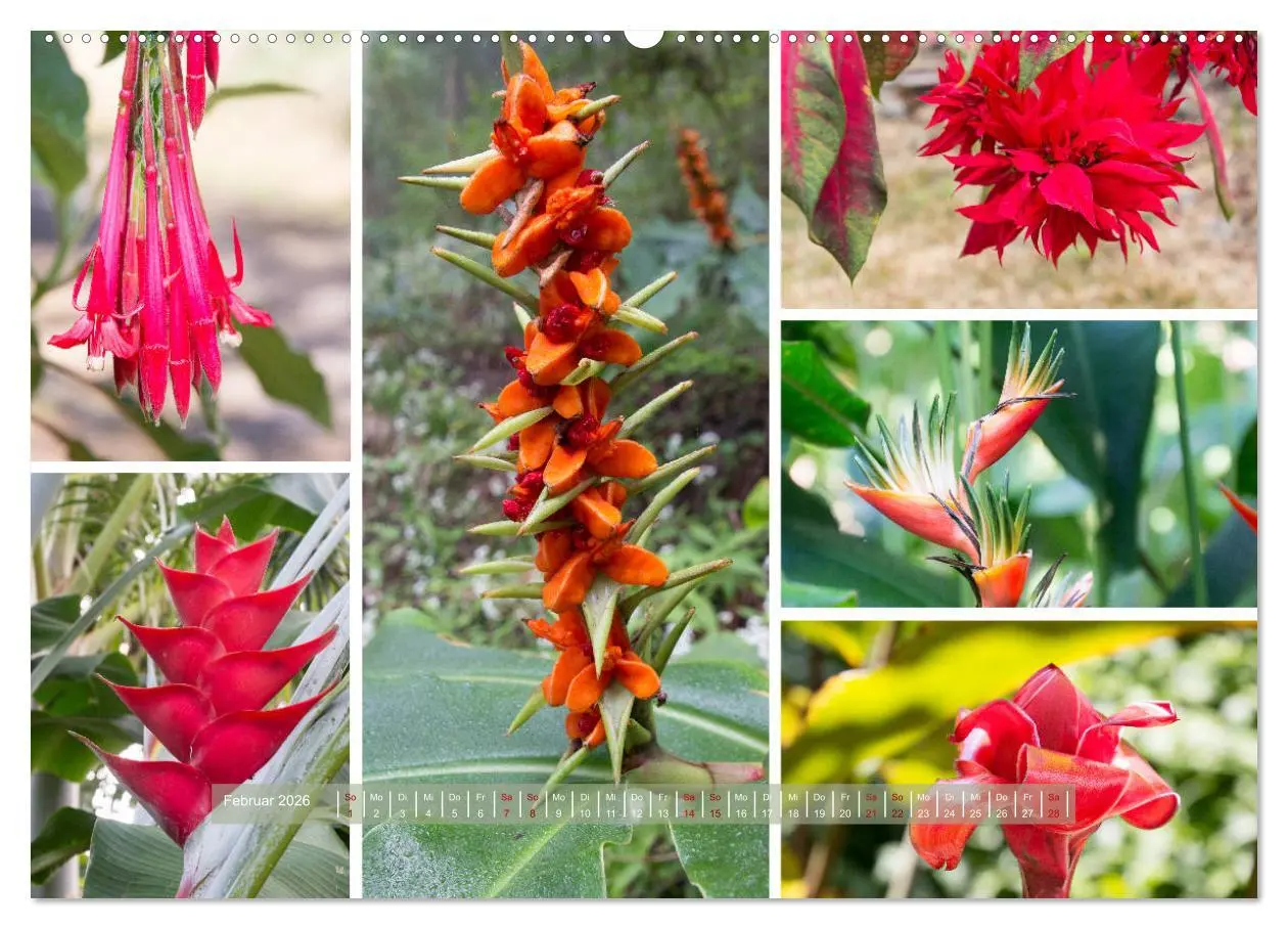 Bild: 9783457906446 | La Réunion - Bergweh ® (Wandkalender 2026 DIN A2 quer), CALVENDO...