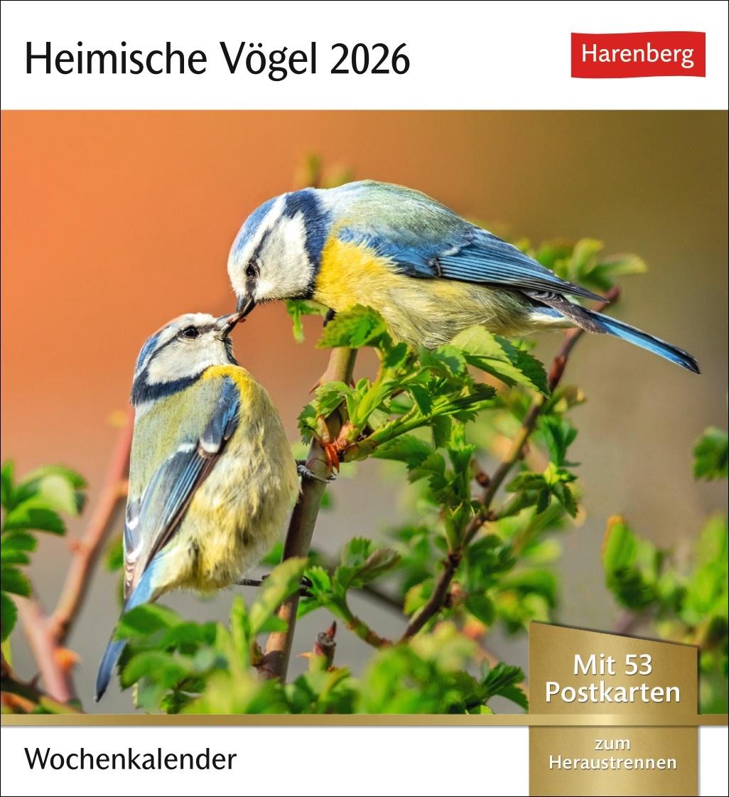 Cover: 9783840036446 | Heimische Vögel Postkartenkalender 2026 - Wochenkalender mit 53...